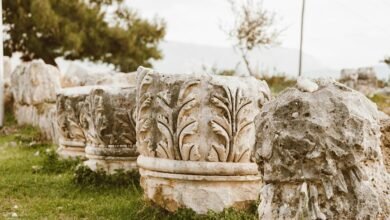 cultural celebration or controversy