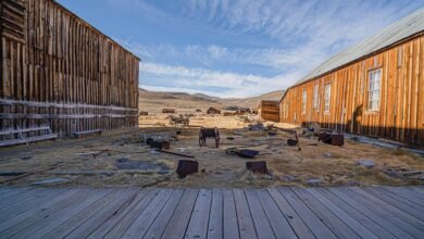 mms bee24 site evaluation