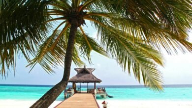 samsara island reality or illusion