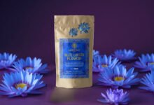Blue Lotus Flower