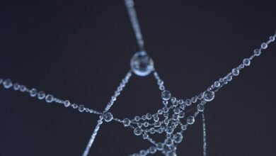 refracted thread numbered identification
