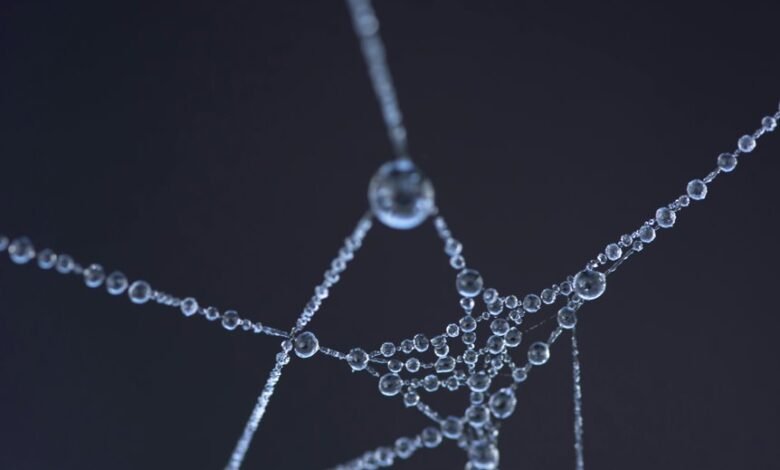 refracted thread numbered identification