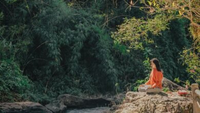 wellness journey for serenity
