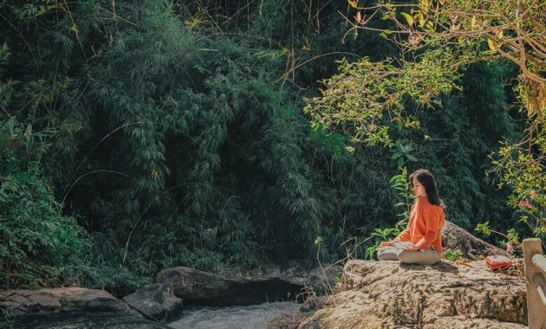 wellness journey for serenity