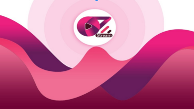 Streamoz Twitch Service: What Kind of Growth Can You Expect?