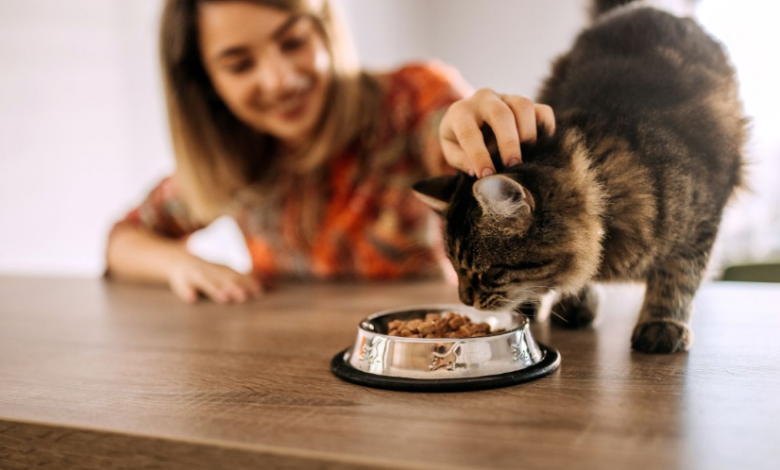 Enhancing Cat Health With Proper Nutrition