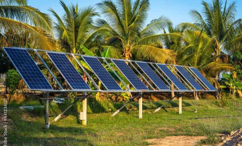 Solar Farming: How Rural Areas Can Benefit From the Sun