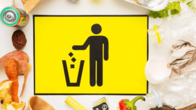 DIY Cleanup Mistakes to Avoid: Ensuring Effective Waste Disposal