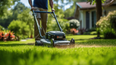 The Science Behind Lawn Aeration