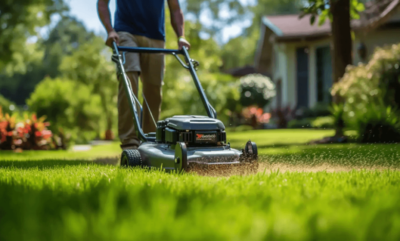 The Science Behind Lawn Aeration