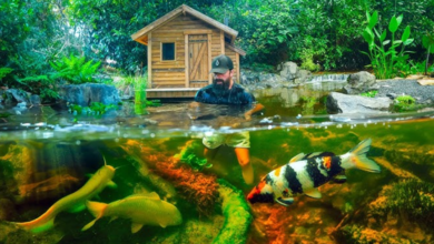 Swimming Pond Shop Your Partner in Cleaner Pond Living