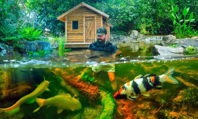 Swimming Pond Shop Your Partner in Cleaner Pond Living