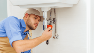 Are Professional Tacoma Plumbing Services Worth the Cost?