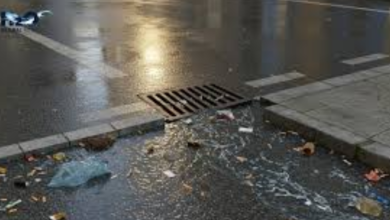 Can Smarter Stormwater Systems Help Cities Adapt to Climate Change?