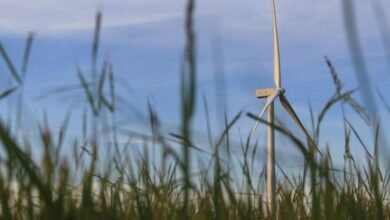 smart growth digital solutions