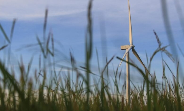 smart online growth solutions